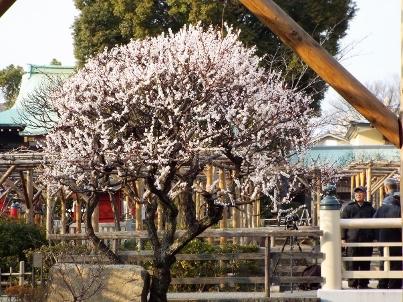 金（かね）偏に失う」と書く「鉄」人の貧乏雑日記！！ ステンレス